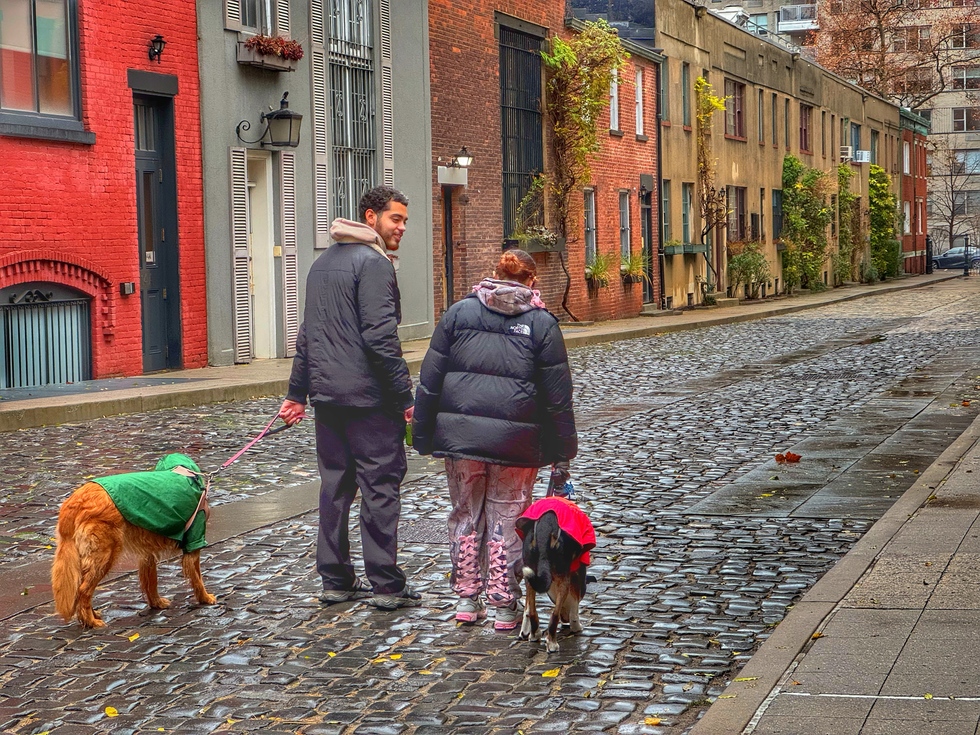 Greenwich Village walking tour: Washington Mews in New York City