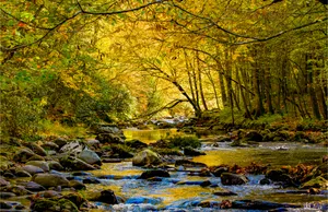 The fall's best American national parks: a stream in Rocky Mountains National Park.