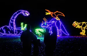 Winter Festival of Lights at Oglebay Resort in Wheeling, West Virginia